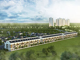 Nhà phố kinh doanh Phố Cúc